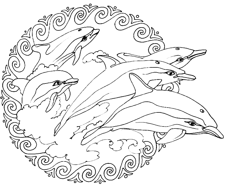 Joli mandala dans l'esprit 'marin' avec de superbes dauphins .